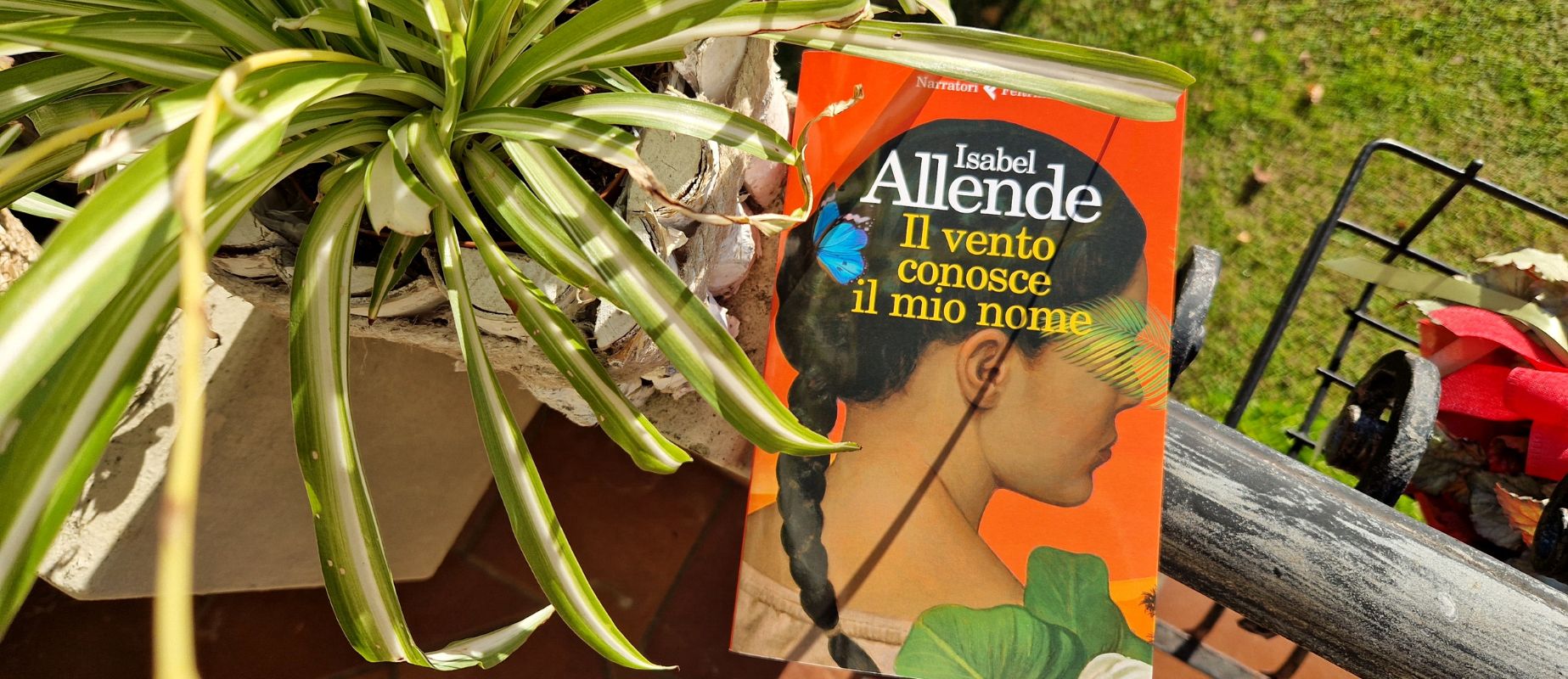 Il vento conosce il mio nome di Isabel Allende: la recensione del libro